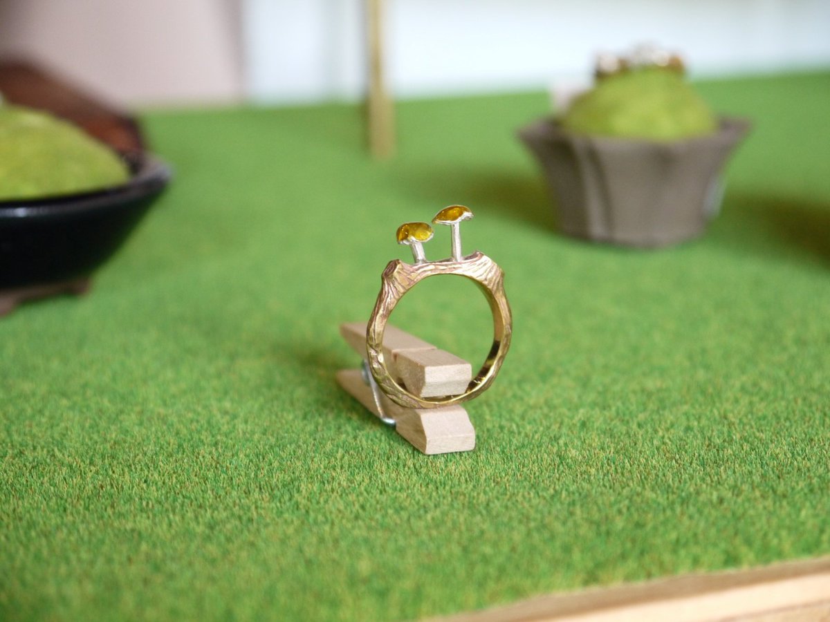 tsuchikure_link's tweet photo. Risa Ochiaiさんの個展「BONSAI MUSHROOM」 本日３日目です。
長居公園の北口からすぐ近くです。

この盆栽キノコは…

キヌメリガサのリングでした。
https://t.co/Bbil3Ck0k5
#長居公園 https://t.co/QfE0KHlbyW