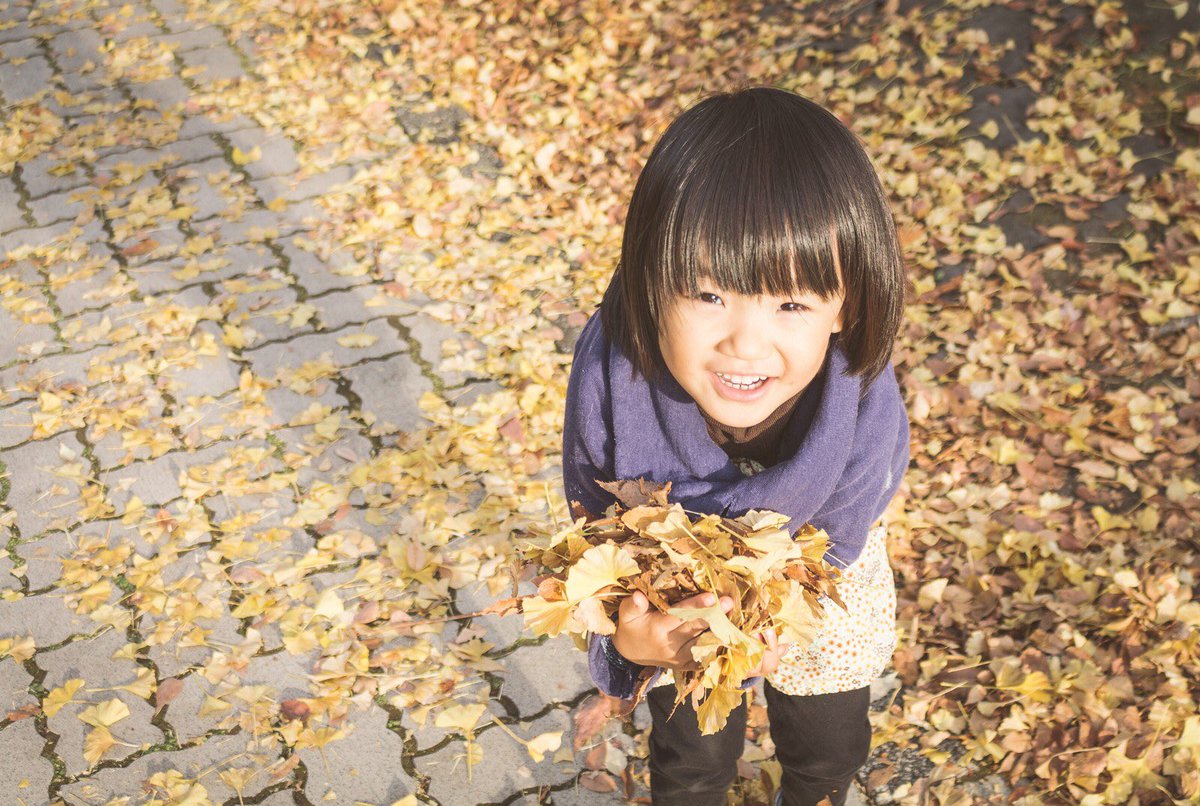 Kotoru 子供の写真 動画投稿サイト Kotoru Pr Twitter