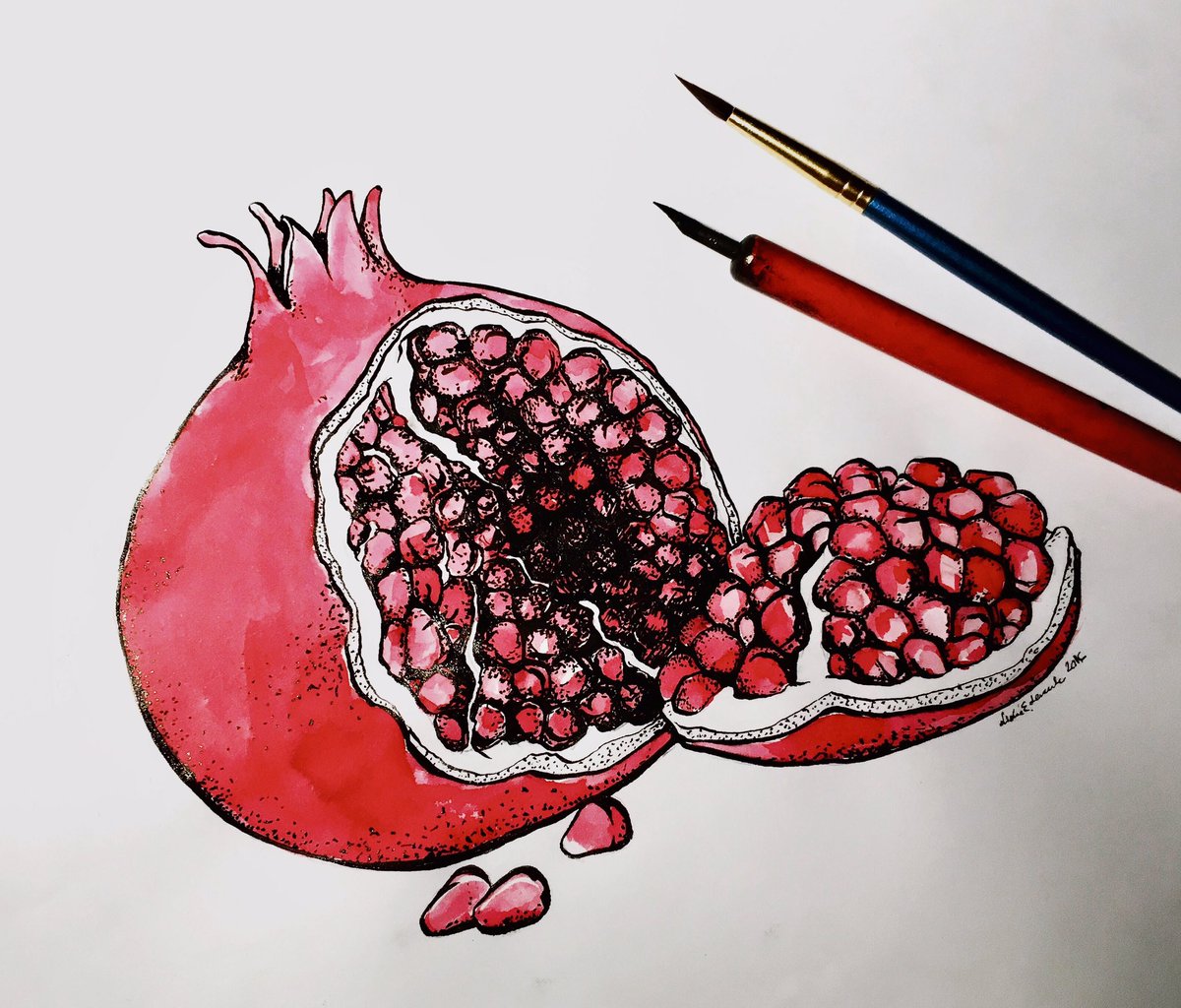 crayonsalad's tweet photo. From day 05 of #Inktober2016 #inktober #pomegranate #crayonsalad @artistsnetwork https://t.co/nkcAuKvApU