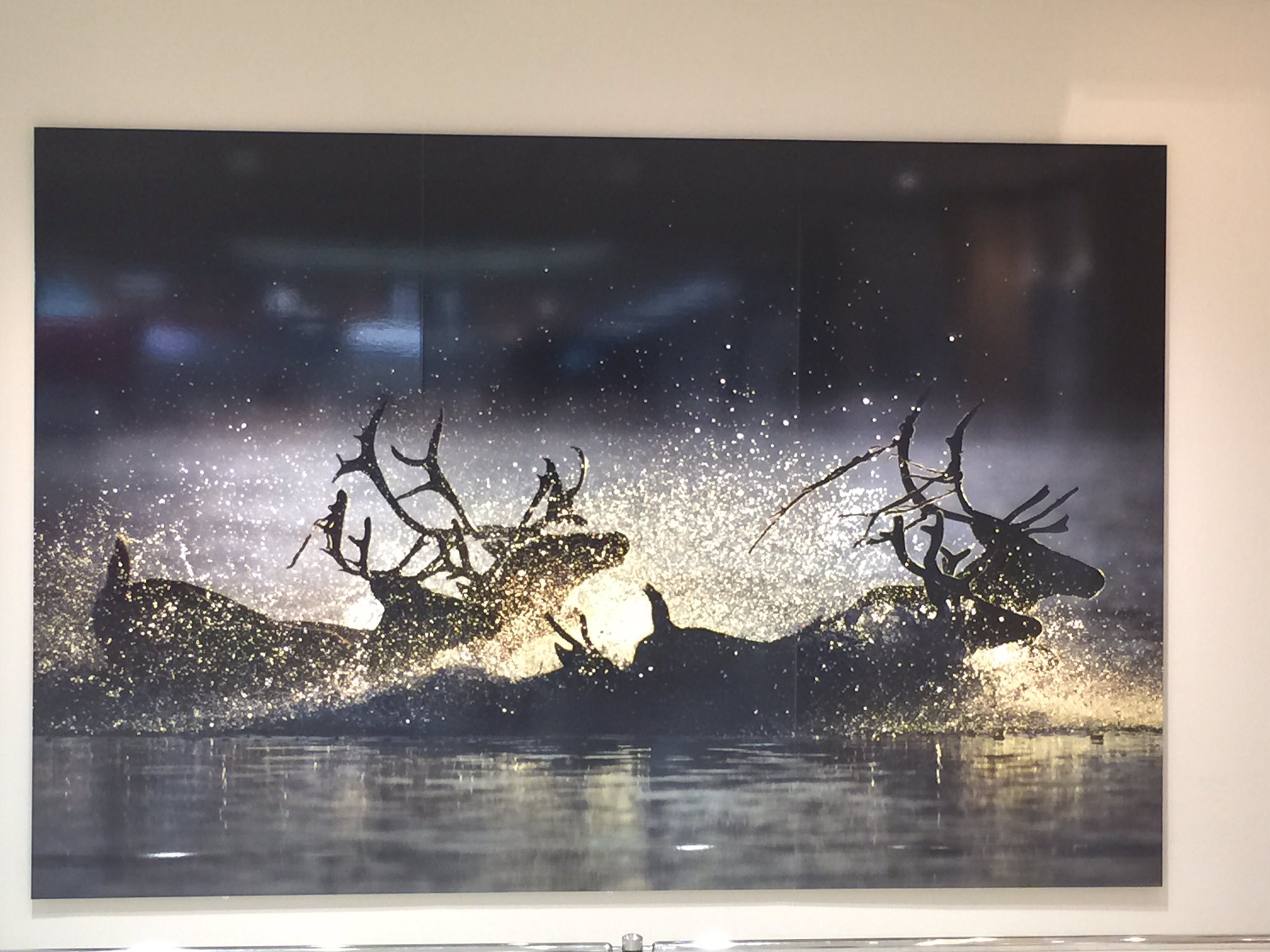 中村薫 星野道夫さんの没後２０年特別展見に行きました 星野さんが撮影した写真 アラスカの大自然に圧倒されました ホッキョクグマやアザラシの赤ちゃんのあどけない表情 星野さんの眼差しの優しさが感じられました ぜひ見に行ってくださいね １０日