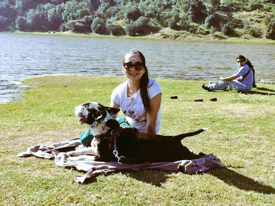 BullterrierVreg's tweet photo. @CarlaCanessa  nuestra veterinaria amante de los #Bullterrier disfrutando del encuentro con #Teo su cerdito
@mascotas_hostal @SuperMascotas https://t.co/Nihl2i8Ecn