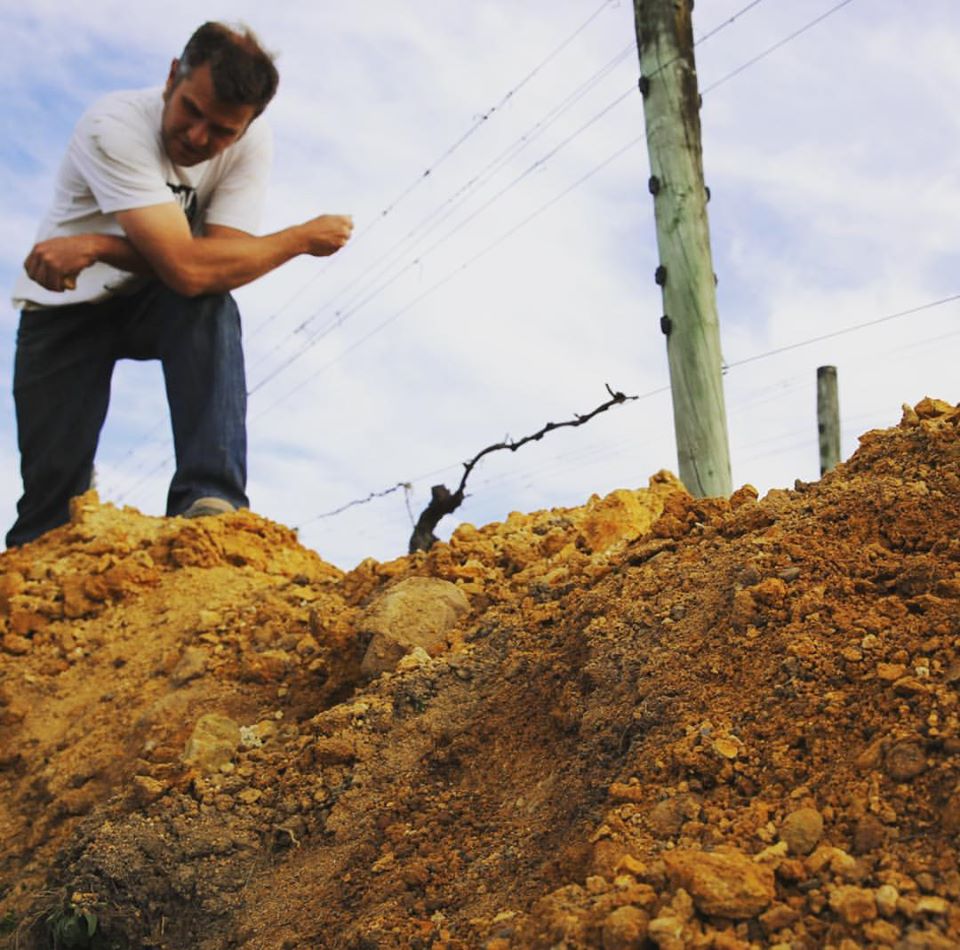 Making #reallyreallynicestuff requires lots of ground work Neudorf Vineyards #moutereartisans #nzwine
