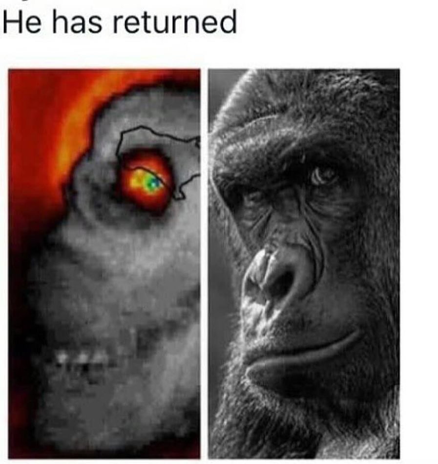 CuIqmL-XEAAAOHI.jpg:large