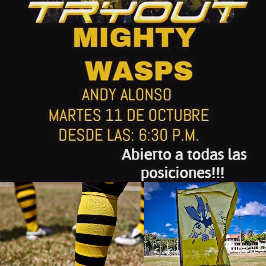 Mighty Wasps Flag tweet media