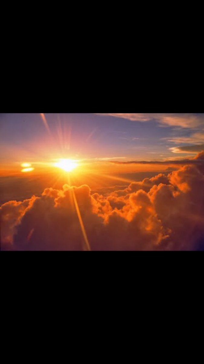 HaifaSafouq tweet picture