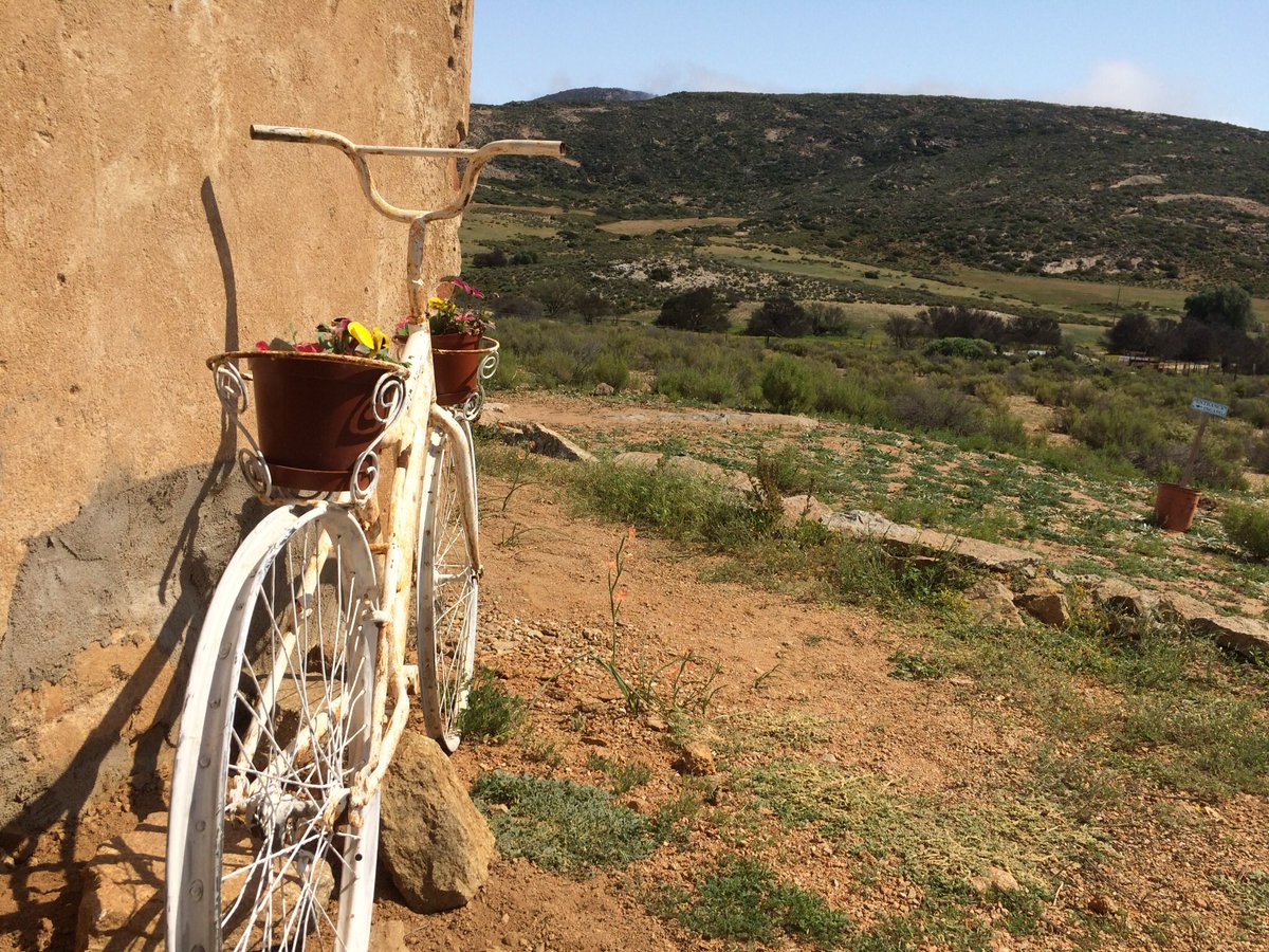 Trinity Cycles SA tweet media