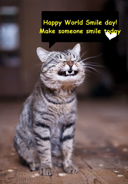 Art Inspiration tweet media