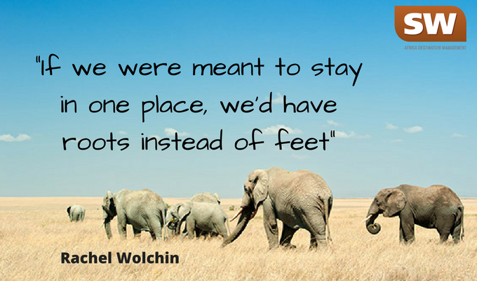 SWAfrica's tweet image. Life was not meant to be lived in a confined space.Just go out and travel the world. #travel #factfriday