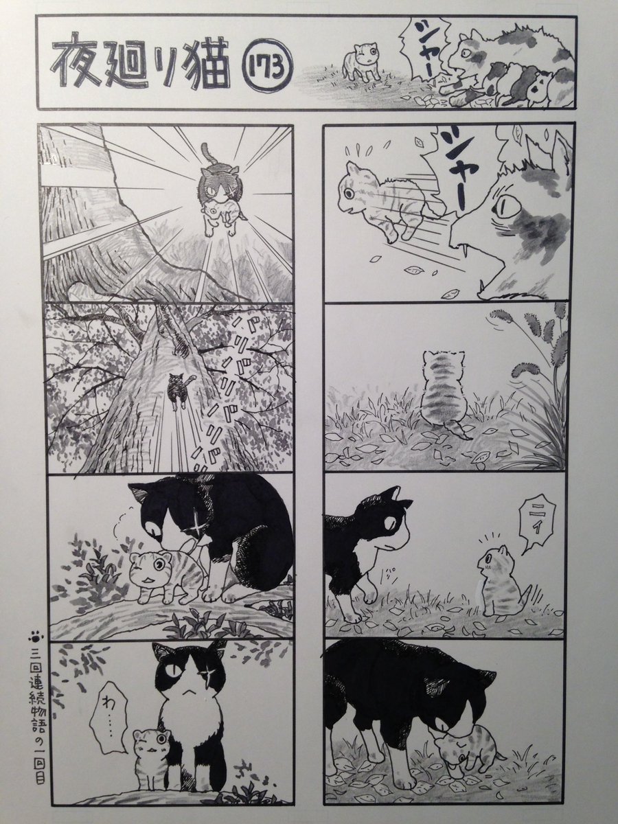 ニイの贈りもの

(3回連続物語の、第2回)
2016.10/7の夜廻り猫
#今日の夜廻り猫 
