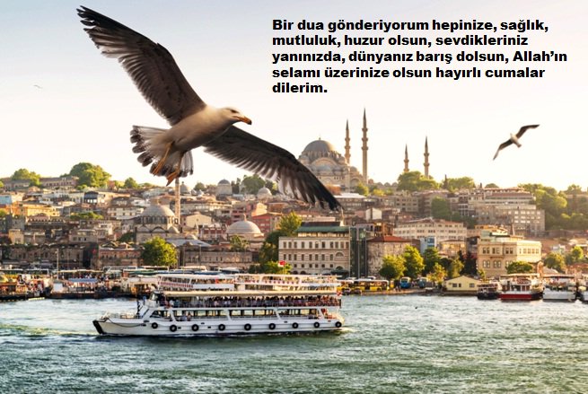 DAVUT TOPOĞLU tweet media