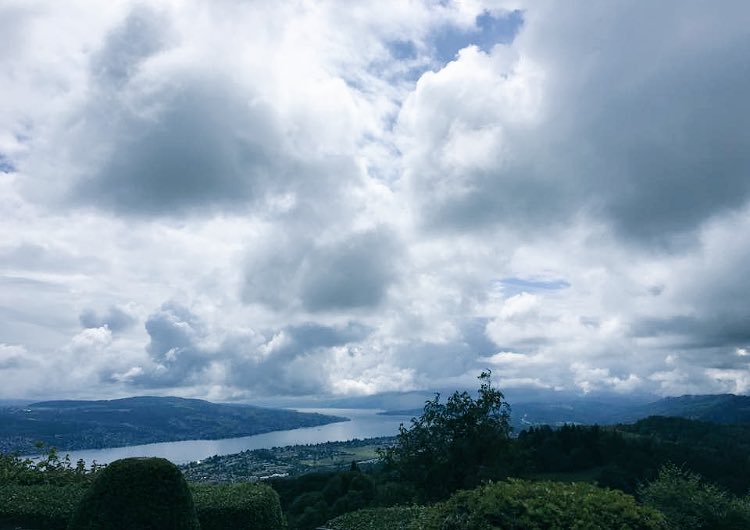 The view over the lake of Zurich from the Uetliberg, the highest point of Zurich. We wish you a wonderful weekend! #widderhotel #stayunique