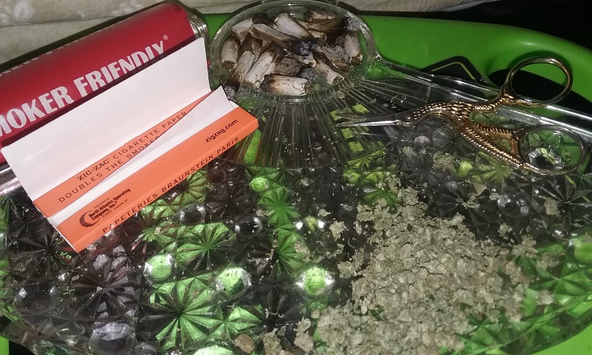 SeanMccstoned's tweet photo. Stay High..
#Cannabis 
#Marijuana 
#Weed
#Ganja 
#Sativa 
#Indica https://t.co/4eddN3ubQM