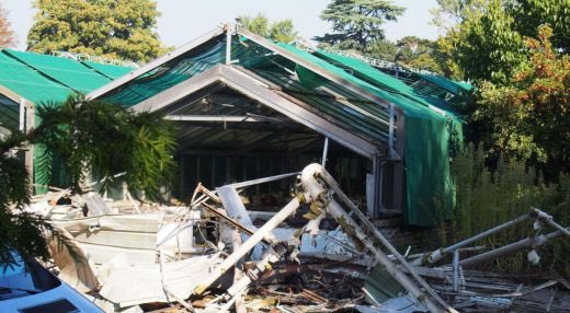 AgnesPop1's tweet photo. Time for @Paris2024 to say no to the destruction of a botanical garden. This crime is a big blow to the bid. https://t.co/Qo2rPz5cKG https://t.co/hZPTySUeGw
