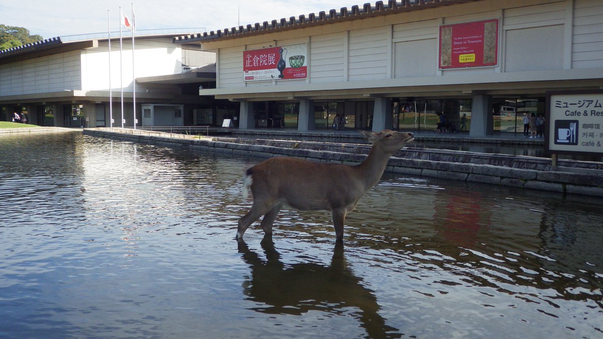 奈良国立博物館 On Twitter 博物館風景 日中の気温が高いから