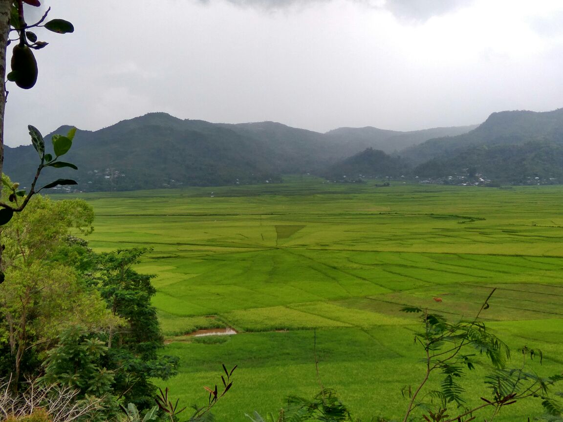  Foto  Pemandangan Sawah  Yang Indah  Gambar Barumu