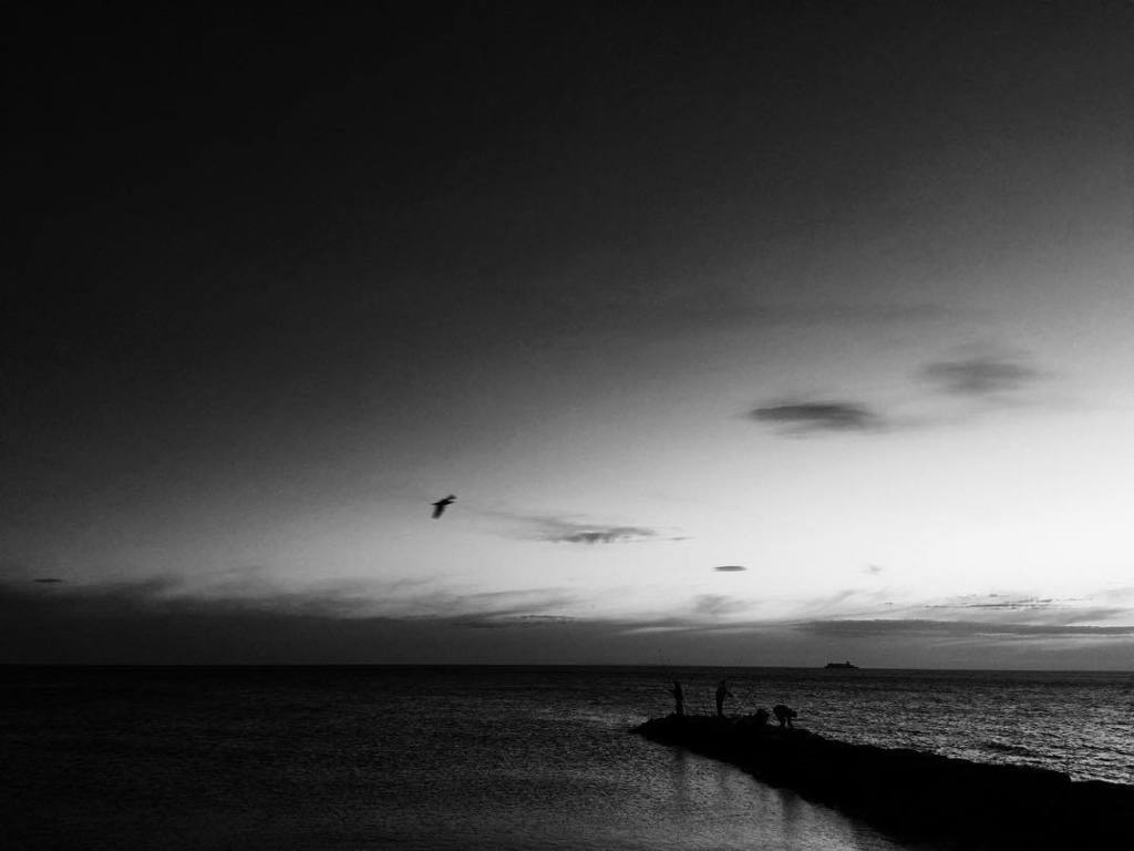 egicrazy's tweet photo. #bew #sunset @ #elwoodbeach https://t.co/x40cZTfmoN https://t.co/hTzTkdnjCw