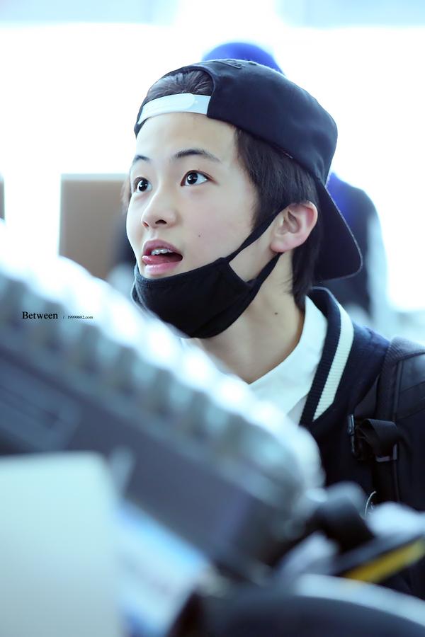 MARKLEE_TH's tweet photo. [FACT] คาแร็คเตอร์จาก disney 🐶🍗 มาร์คบอกว่าตัวเองเหมือน ' Tramp ' ซึ่งเหมือนมากจริงๆ ตอนแทรมป์เด็กๆ (โดยเฉพาะคิ้ว) 😂😂 #NCT_DREAM #MARKLEE https://t.co/0NfO1GOhwj