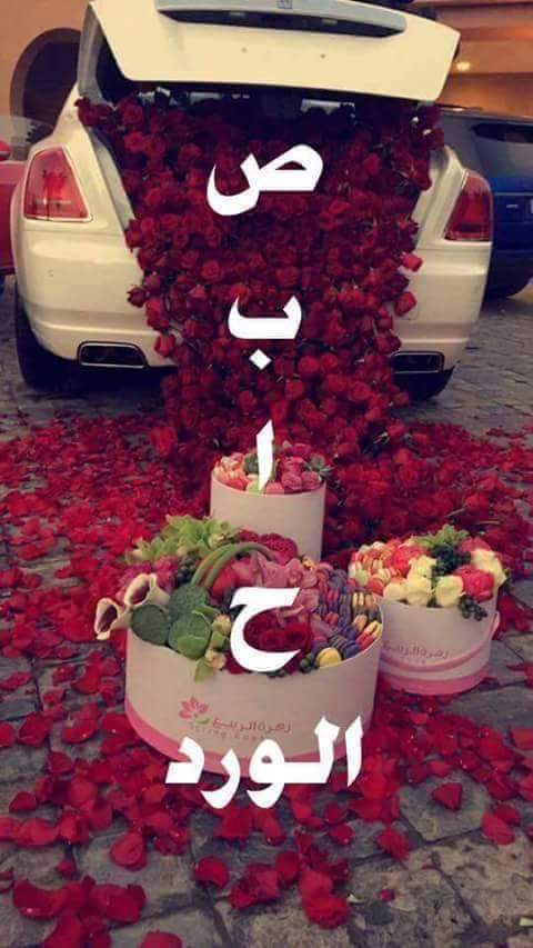 hoda55530's tweet photo. @NeDoZx https://t.co/3cqUcWtf4J