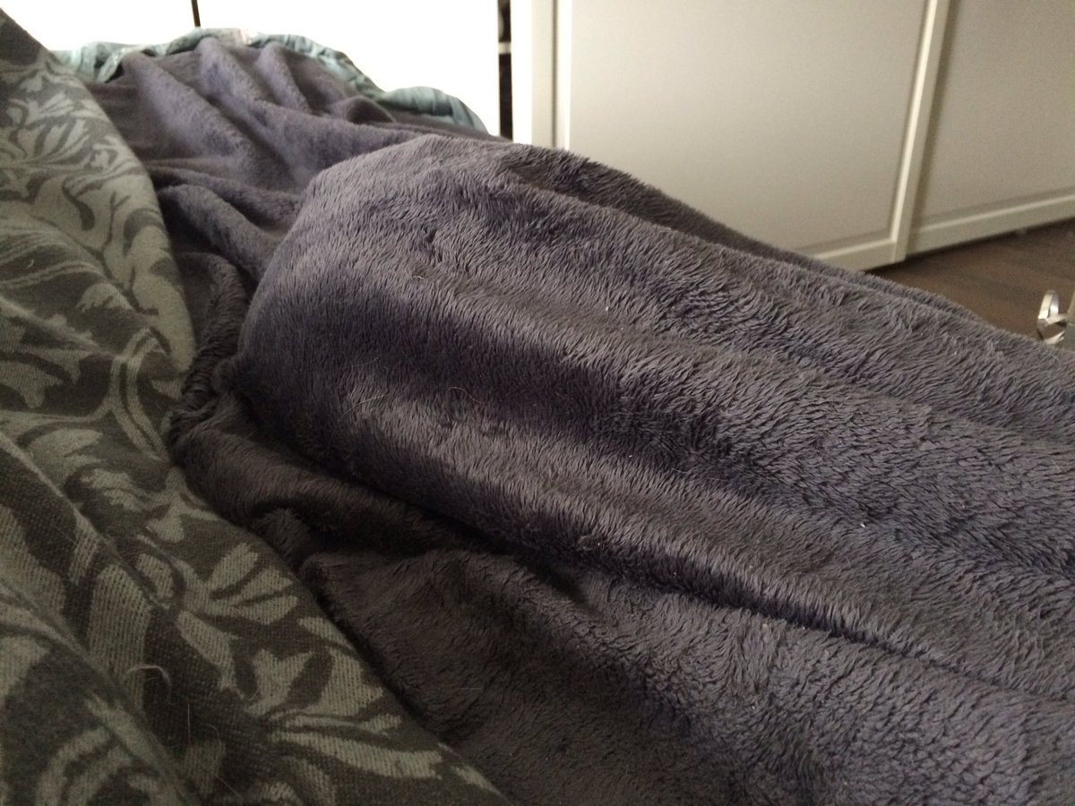 Phantomschmerz's tweet photo. Mein Bett hat Katze. #catundercover https://t.co/VglfbUiptY