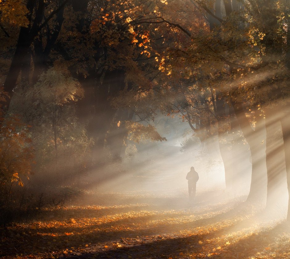 New Featured Profile: Przemysław Kruk
Portfolio: ndmagazine.net/photographer/p…