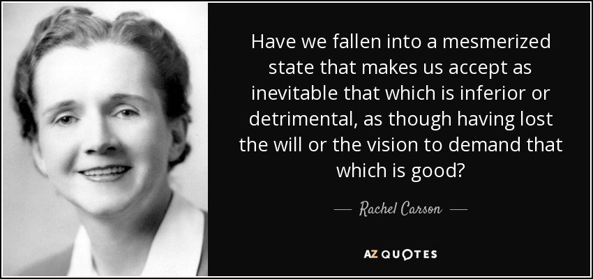 brsmeas's tweet photo. This month we're counting likes & RTs for #CarsonQuotes so you can judge if still relevant today Let us know! For a Future Detoxified #Detox https://t.co/tKHRuU7T0Z