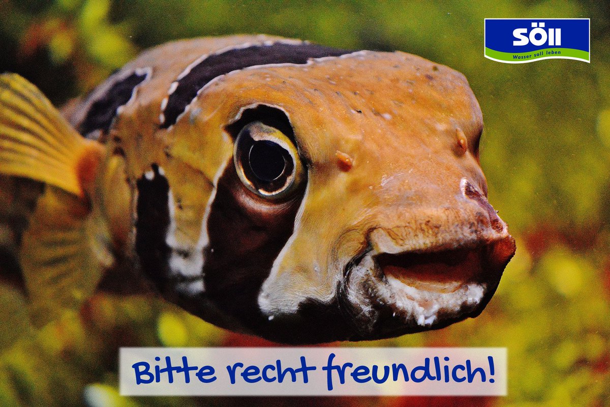 #TagdesLaechelns und Freitag - gleich doppelt Grund zur Freude! 😊 😊