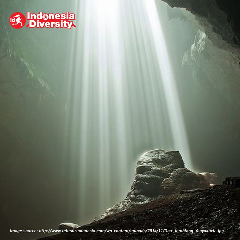 id_diversity's tweet photo. Goa Jomblang di Kabupaten Gunung Kidul, Yogyakarta masuk kedalam 10 foto terbaik di dunia versi The Weather Channel. #IndonesiaDiversity https://t.co/lzyfqSZGRk