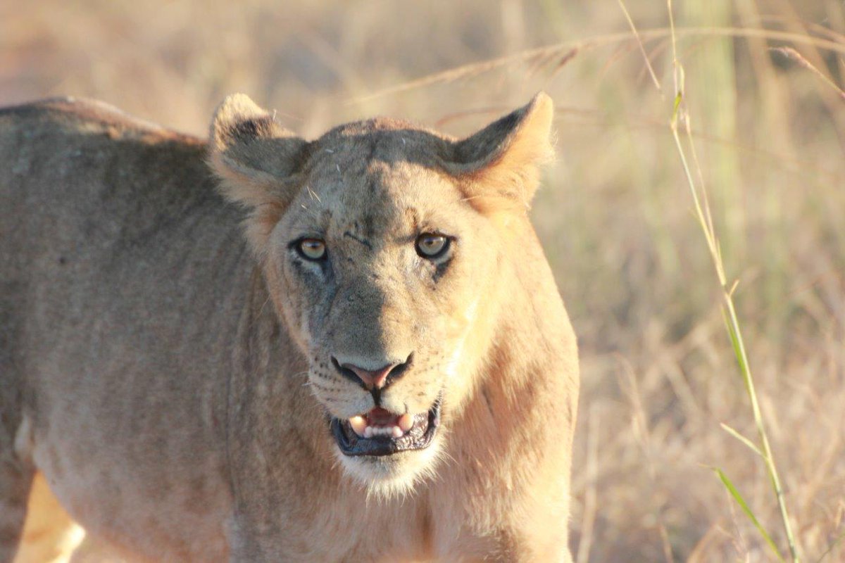 Smile! it's Friday #WorldSmileDay
