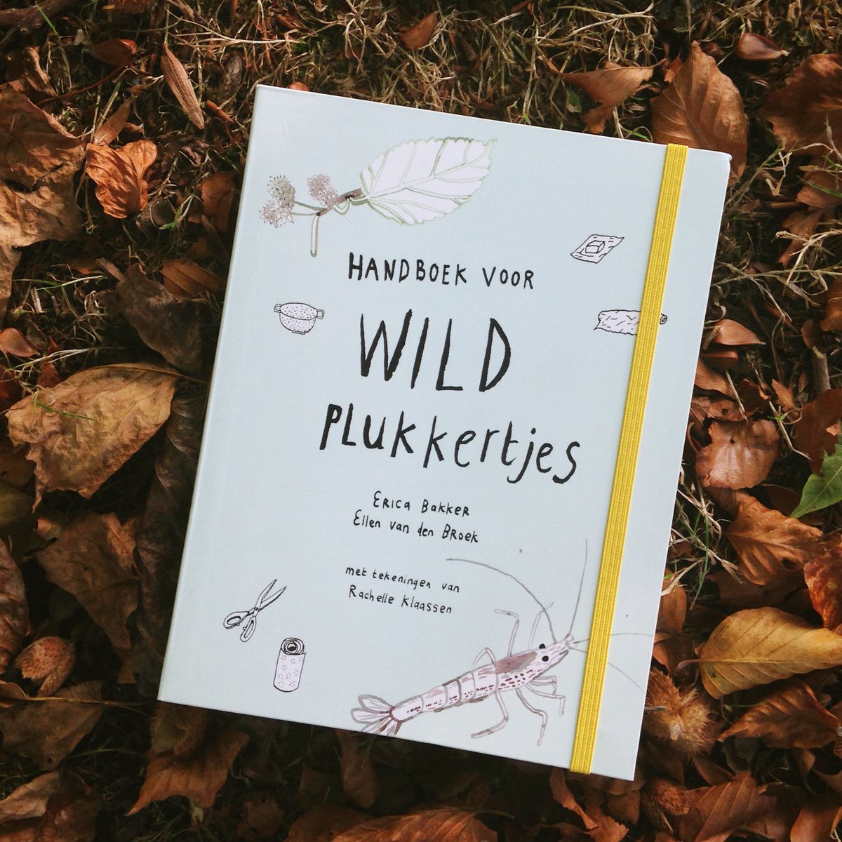 Lekker naar het bos dit weekend; eikels en kastanjes zoeken. En daarna met de tips uit 'Wildplukkertjes' poppetjes en beestjes knutselen!