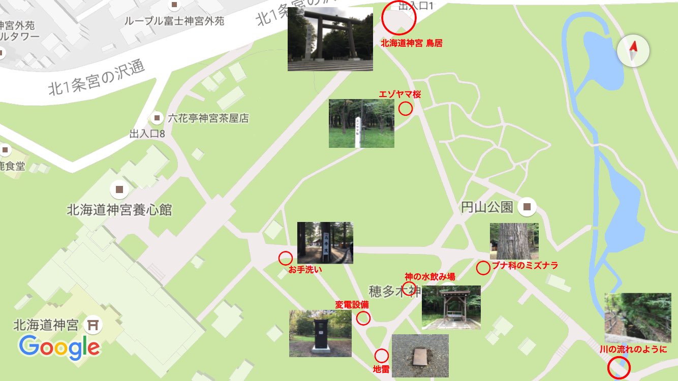 Tweets With Replies By オ蔵 Okura Twitter