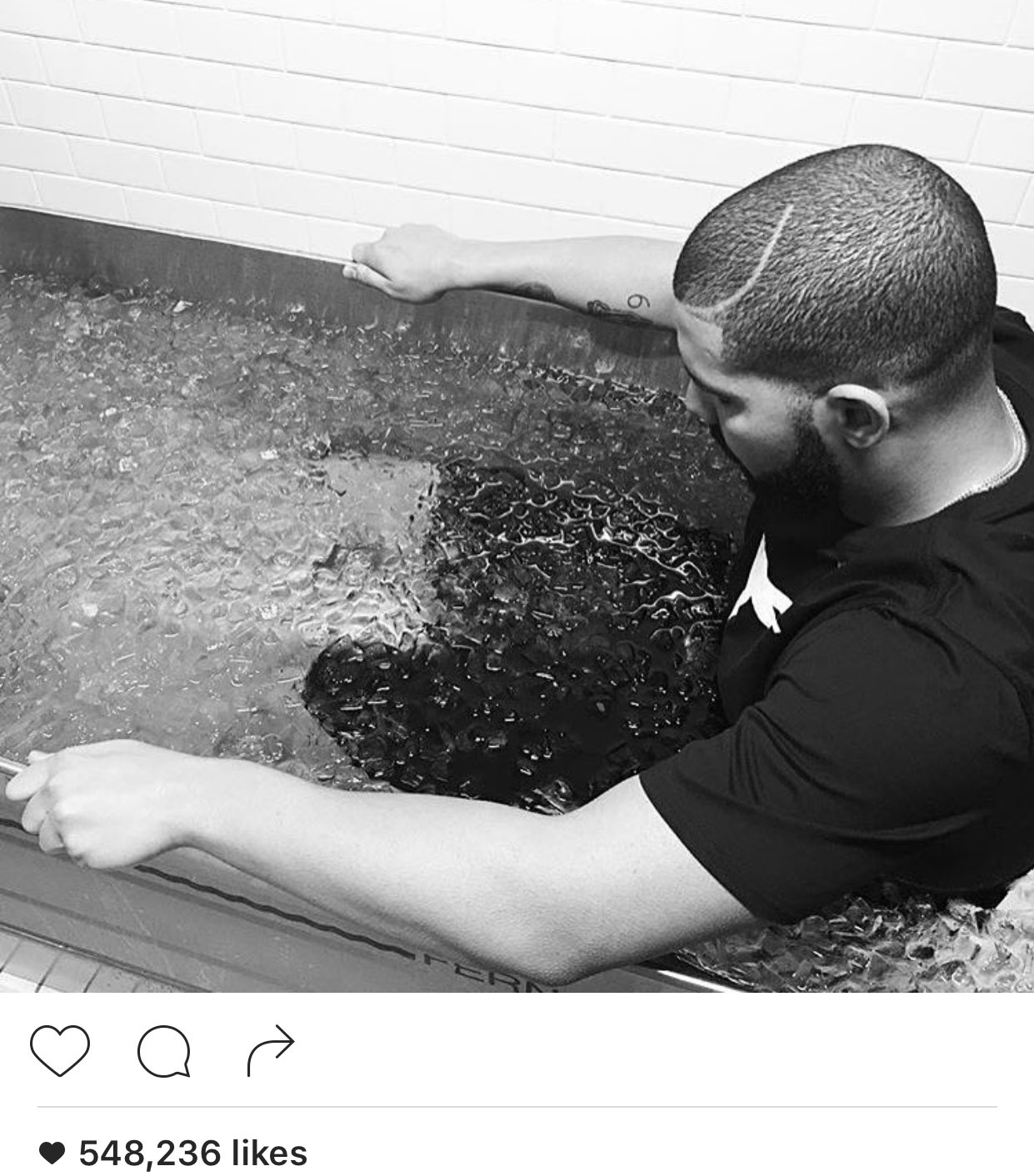 Bash Bashbshano Twitter