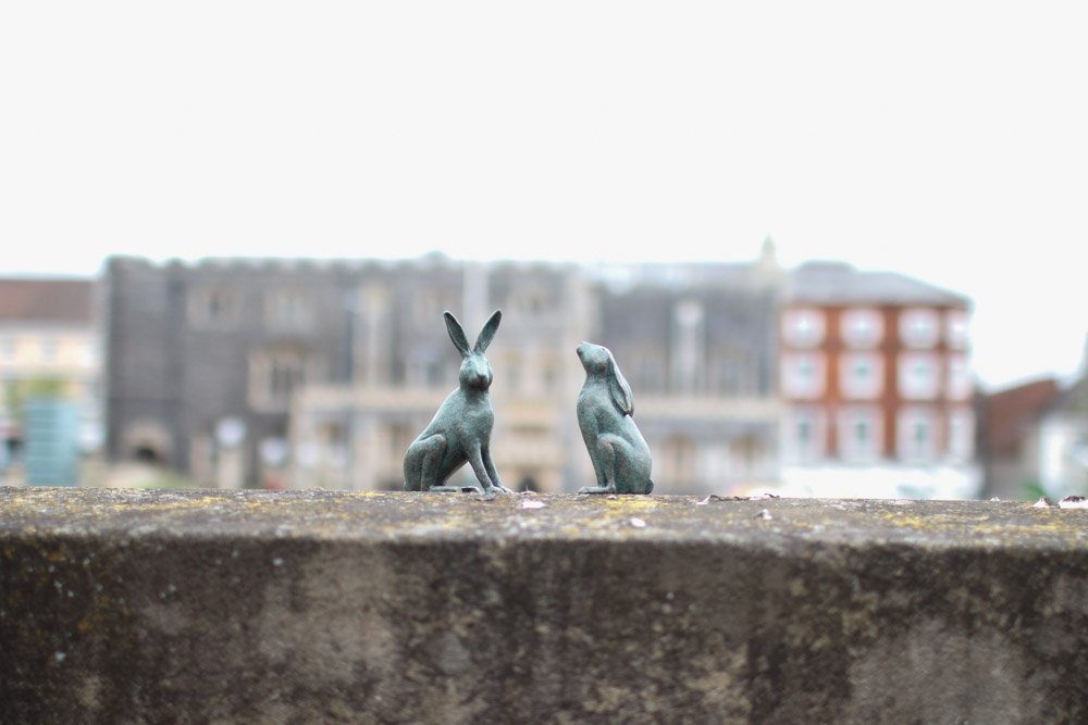 GoGoSafari tweet media