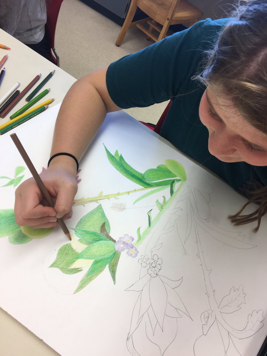 NPE_art's tweet photo. Adding color from observation to last greenery of summer. https://t.co/TMYOlb1vB1