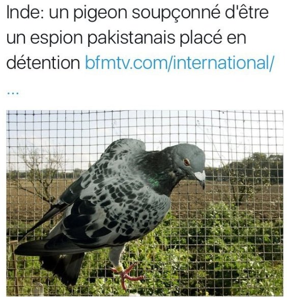 KillerFromParis's tweet photo. Il se passe des trucs chelous en Inde 🤔 https://t.co/Q4o8ByEzX4