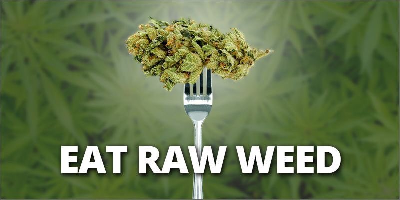 Breakfast, Lunch or Dinner?