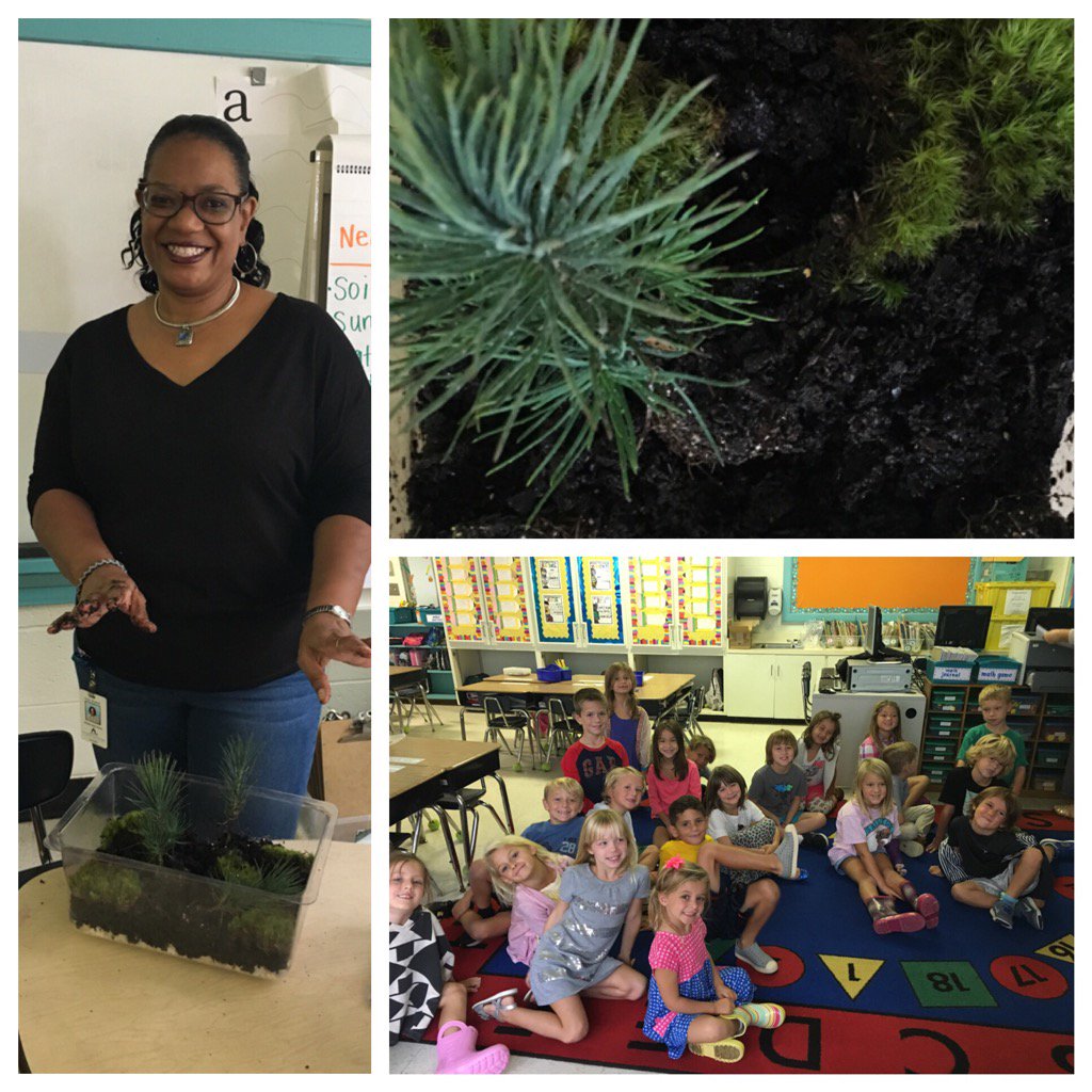 Mrs. Brayford leads the class in some hands-on science by building a class terrarium!