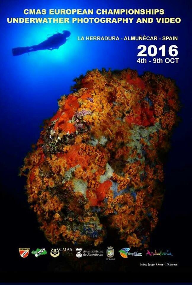 Mañana será una Jornada mágica y subacuática en la #costatropical de #Granada ! Campeonato de Europa de #fotografía y video submarino ;)