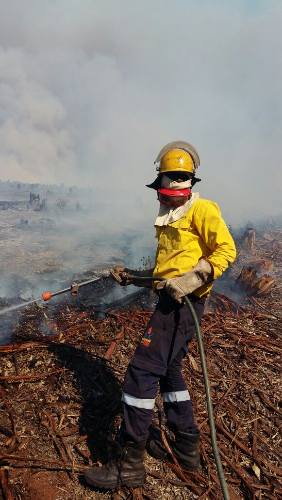 LetabaFire's tweet photo. #facesoffire Dovey fire Tzaneen @wo_fire https://t.co/FxygfpAZ5M