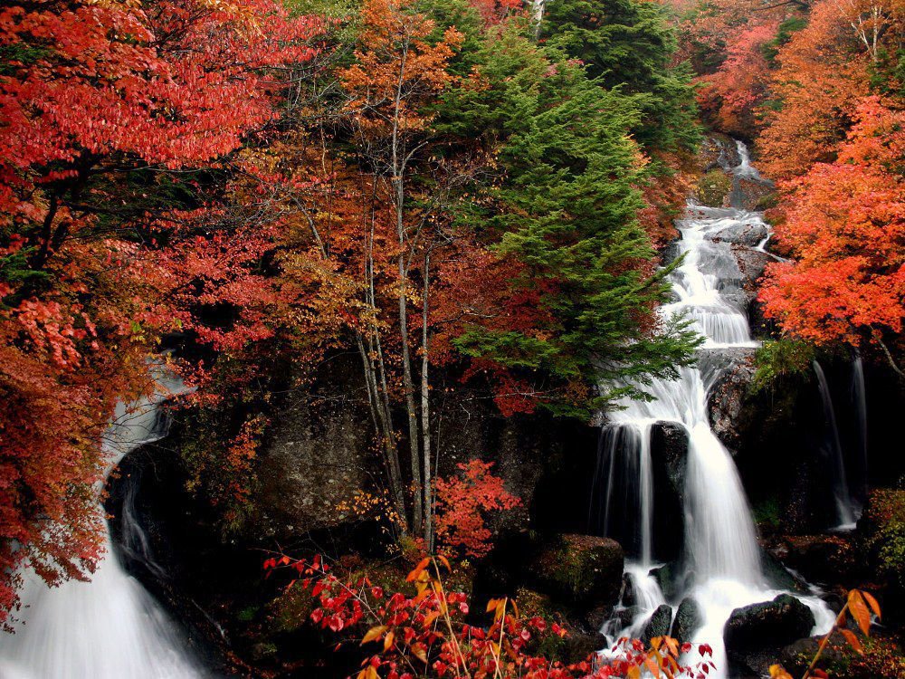 観光庁 Japan Tourism Agency お知らせ 明日から三連休がはじまります 紅葉シーズンはまだ早いですが 全国観るなび Miru Navi では関東地方における紅葉の見ごろ予想と英語による紅葉スポット情報の提供を行っています T Co 観光庁 Japan Tourism Agency お知らせ 明日から三連休がはじまります 紅葉シーズンはまだ早いですが 全国観るなび Miru Navi では関東地方における紅葉の見ごろ予想と英語による紅葉スポット情報の提供を行っています T Co