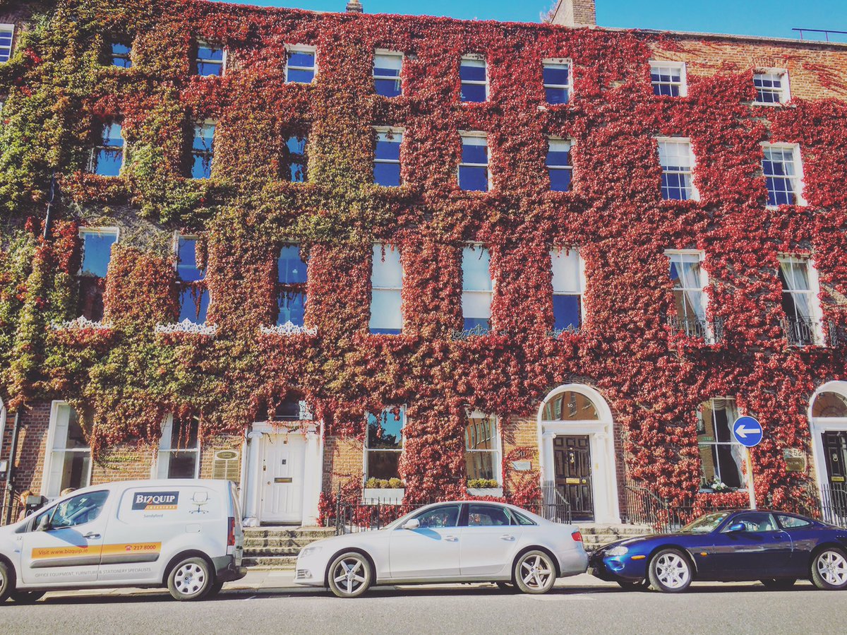 AdamoRuggiero's tweet photo. Bye bye beautiful Dublin, off to the Irish countryside. ✌️ #Fabulocity @OUTtv @GoToIrelandCA https://t.co/7sqJ9dJ0L0