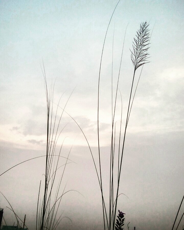 kashful hashtag on twitter kashful hashtag on twitter