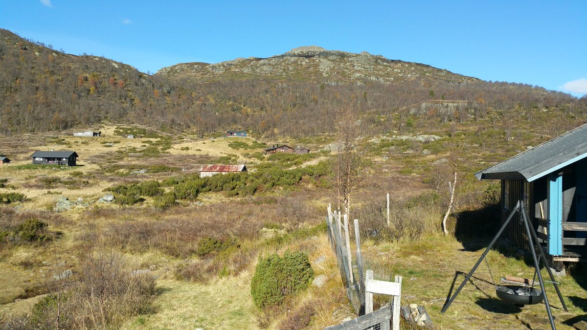 Suebird's tweet photo. The most serene place on earth 💛 #bliss #nofilter #Hardangervidda #Norway #Vigfit #familygetaway #mothernature #almostunplugged https://t.co/fiUhH4q2o4