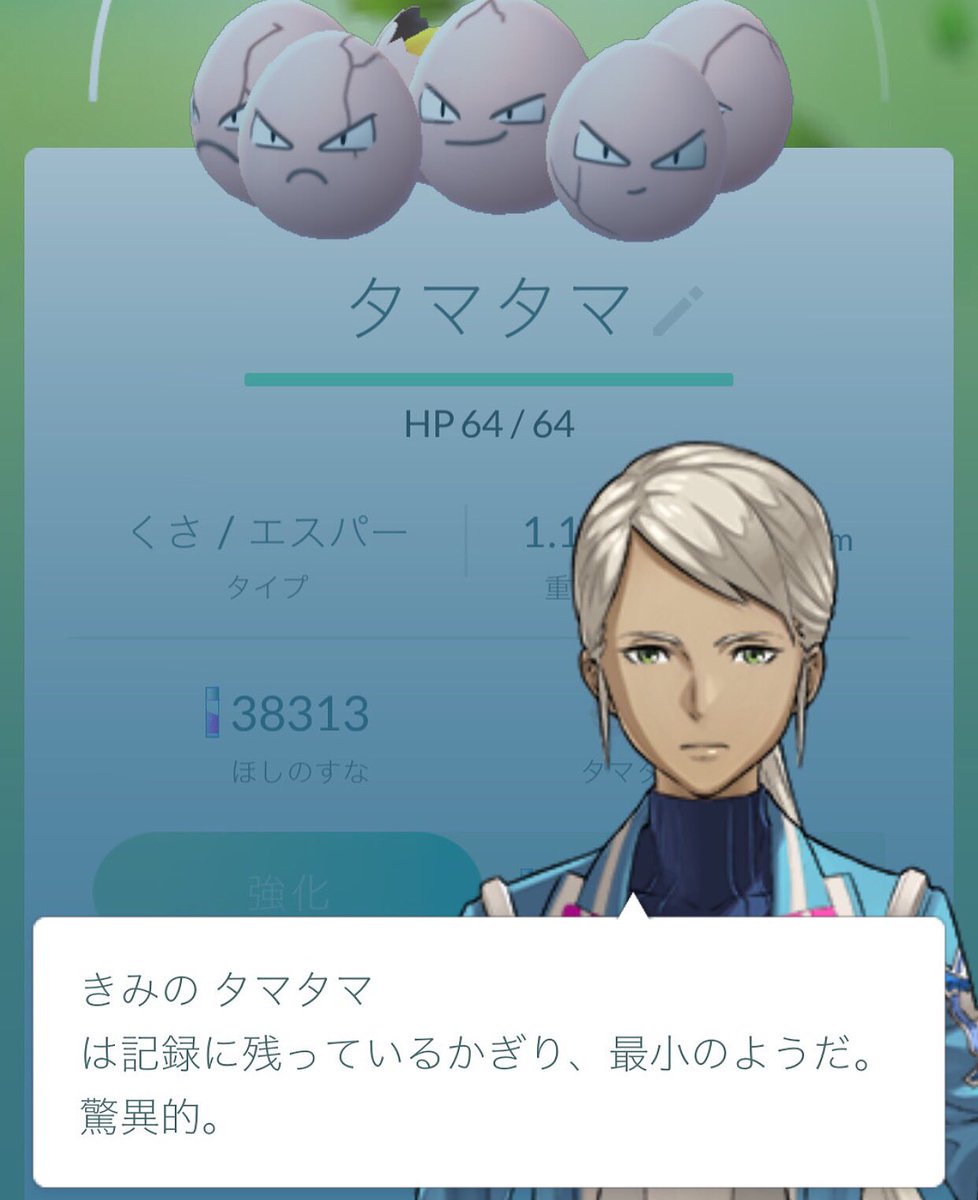 きみのタマタマ Twitter Search きみのタマタマ Twitter Search