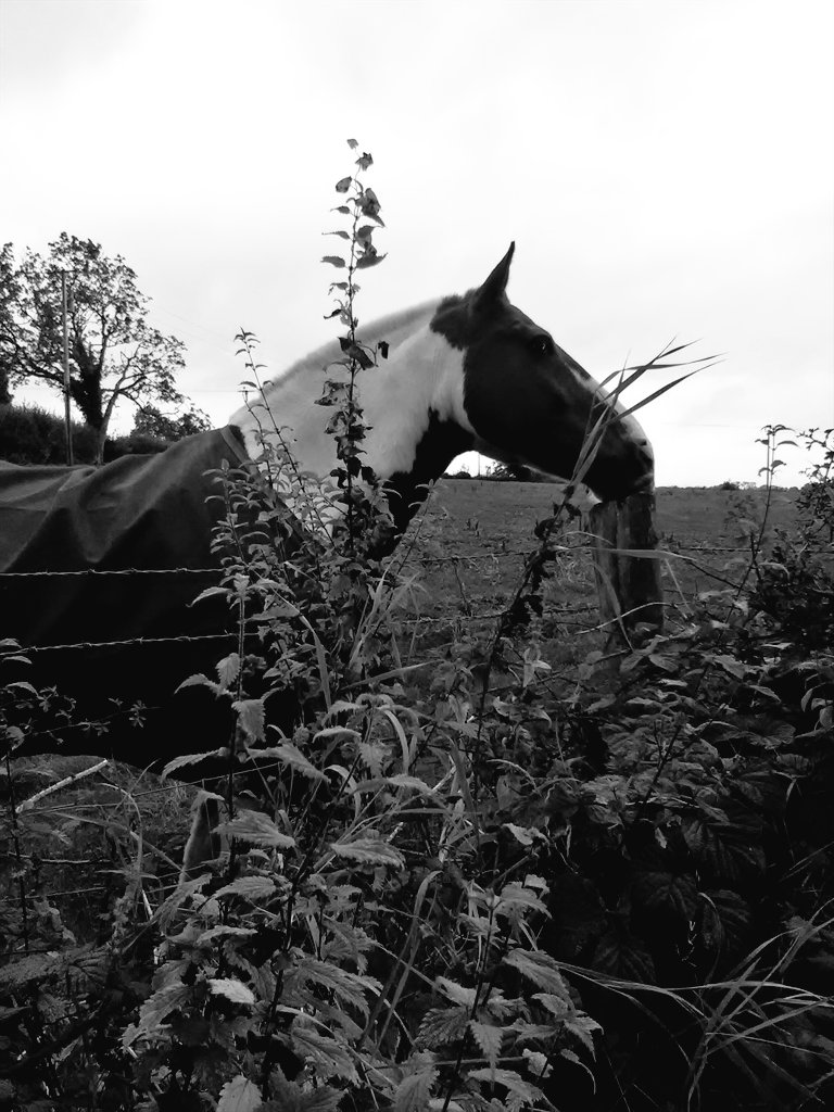 MurphysMagic8's tweet image. Home for a holiday...