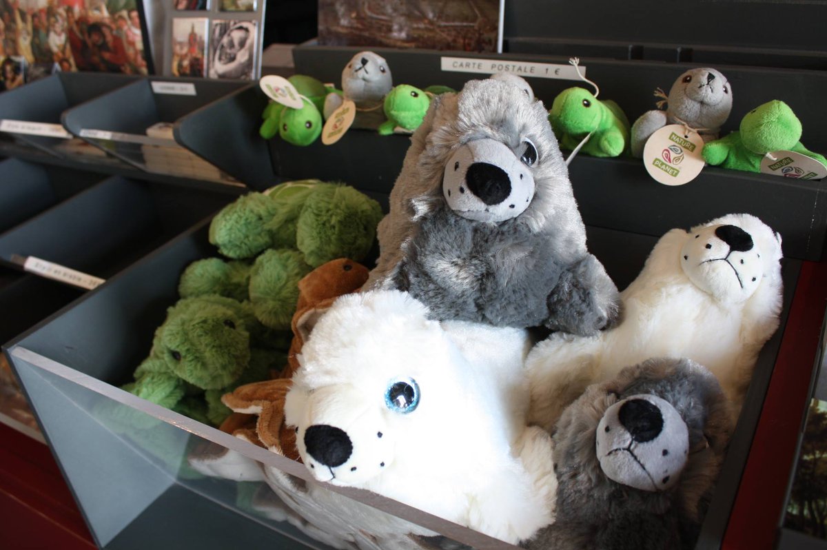 Departement Du Nord Trop Mignon Le Bebe Phoque Non Venez L Adopter Des Demain Pour L Ouverture De L Expo Odysseeanimaux Au Musee De Flandre A Cassel T Co Dj2nsk8d0l