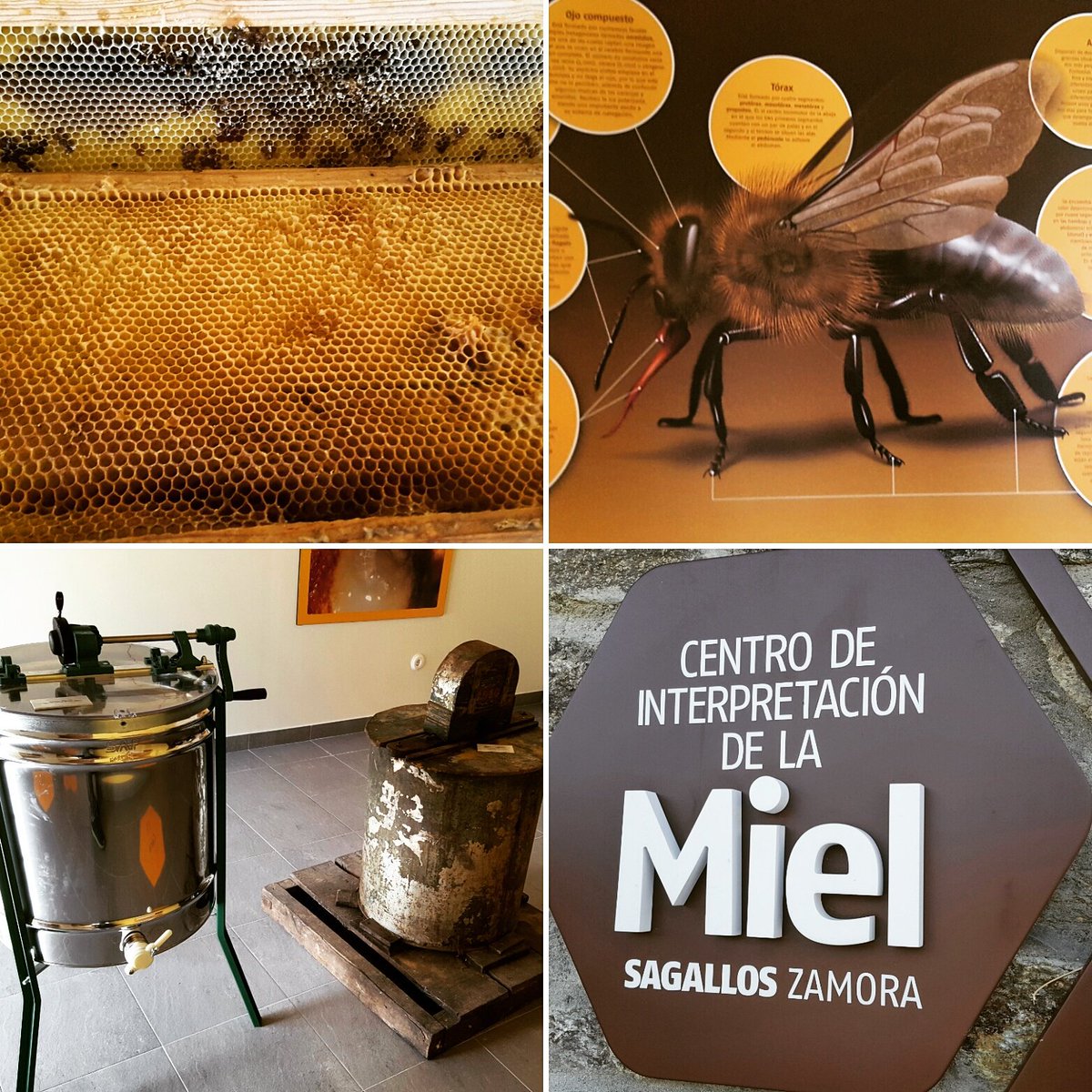 ZamoraSpain's tweet photo. Muy #recomendable el #centro de #interpretación de la #miel en #Sagallos (#Zamora) https://t.co/tSXEKKPM3i