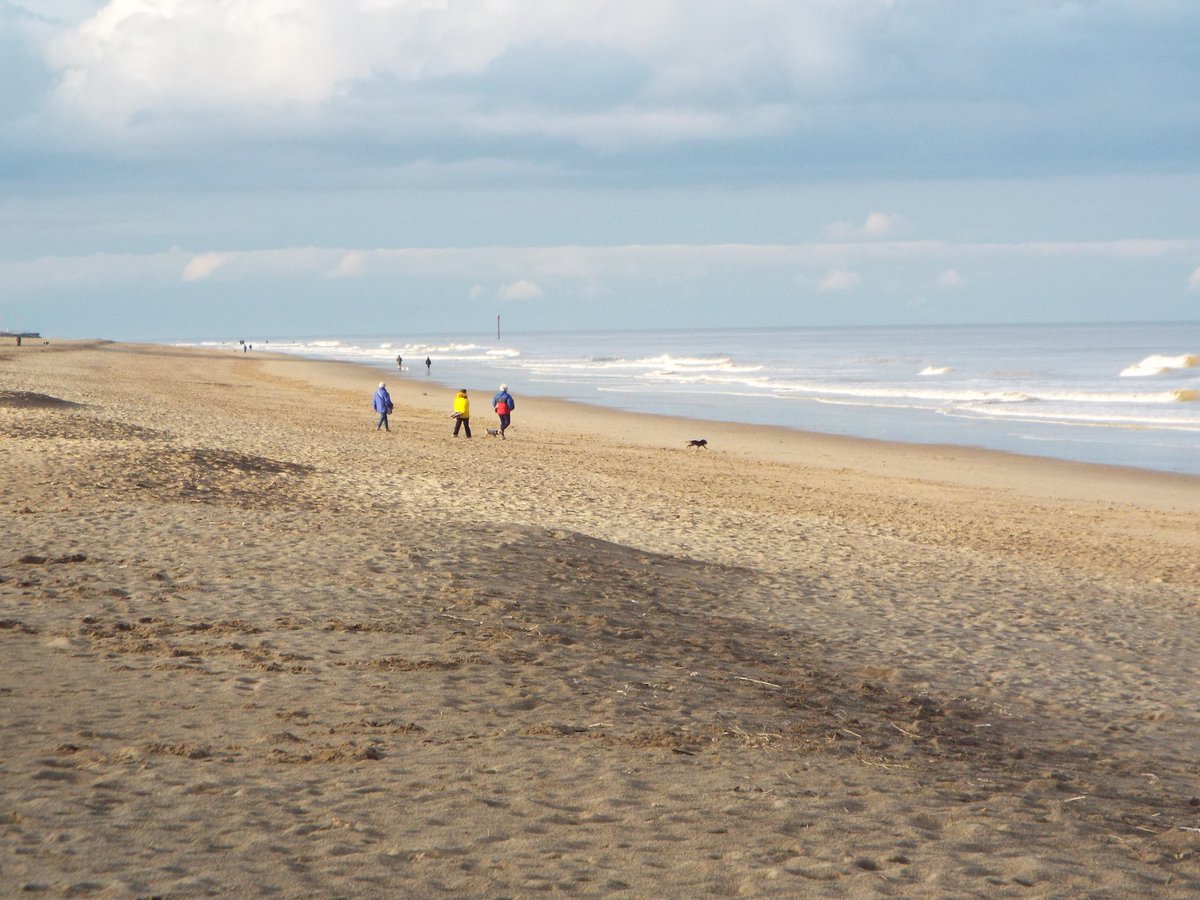 CherryTreeSite's tweet image. Lovely Autumn weather here in Sutton On Sea @SuttonOnSea .
Park flowers,still so colourful and brilliant dog walking on the beach!