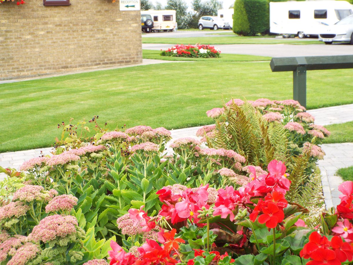 CherryTreeSite's tweet image. Lovely Autumn weather here in Sutton On Sea @SuttonOnSea .
Park flowers,still so colourful and brilliant dog walking on the beach!