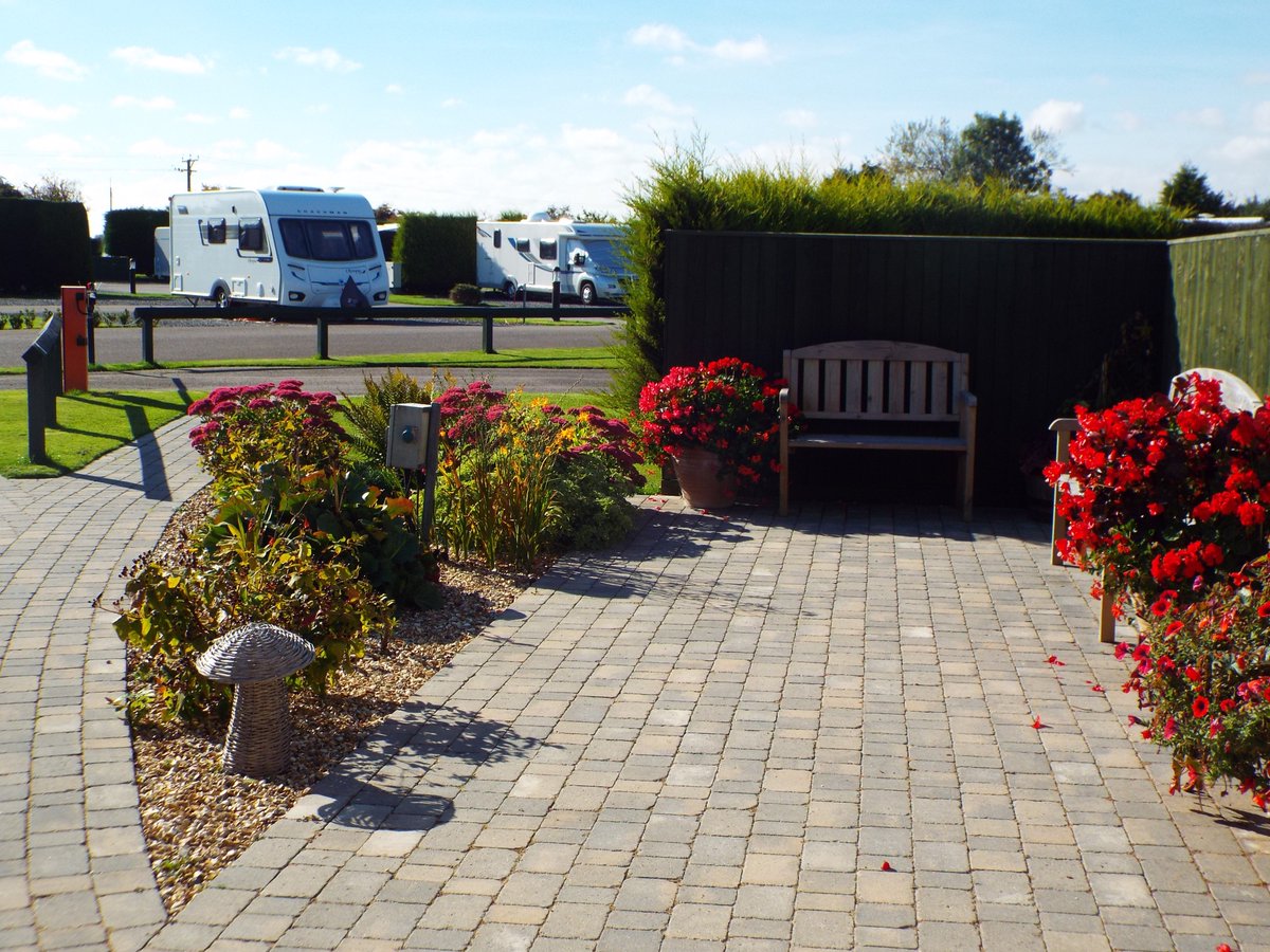 CherryTreeSite's tweet image. Lovely Autumn weather here in Sutton On Sea @SuttonOnSea .
Park flowers,still so colourful and brilliant dog walking on the beach!