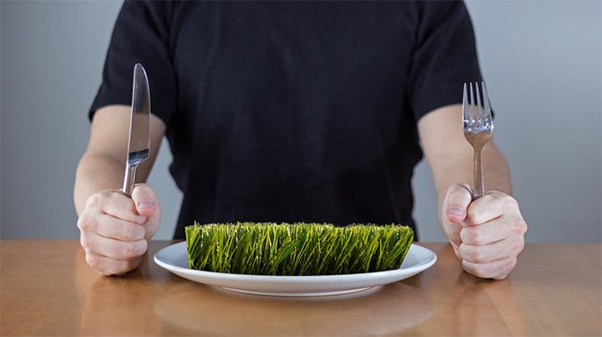 Tom blijft gewoon kunstgras eten - ‘Ze noemen alles tegenwoordig kankerverwekkend’ speld.nl/?p=66896